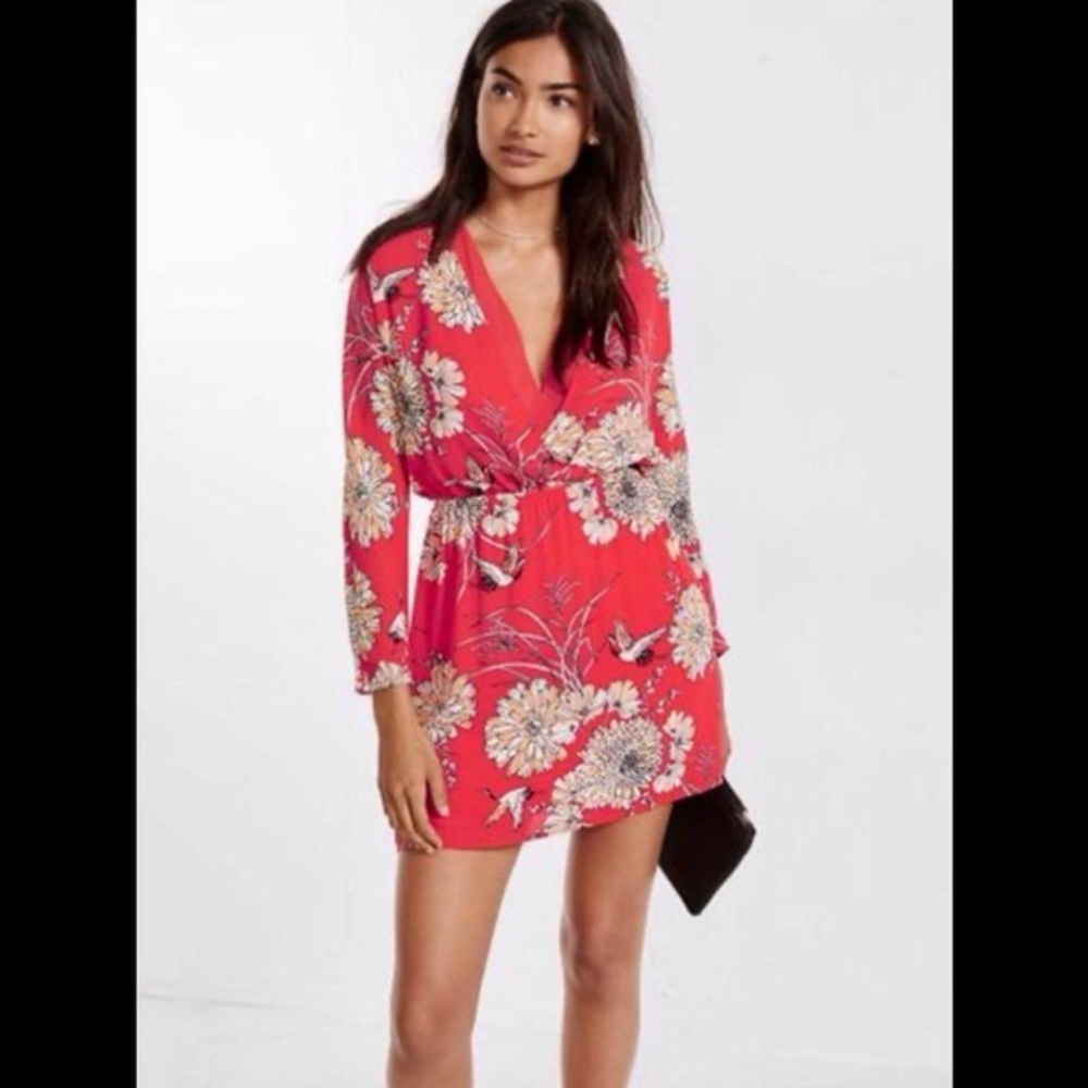 Express Floral Dress